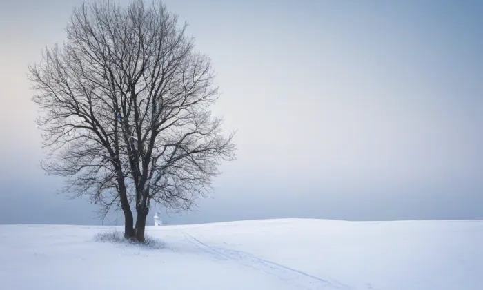 kostel svatého Václava (Chlum) – winter