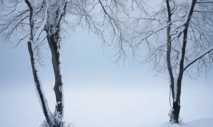 kostel svatého Václava (Domanín) – winter