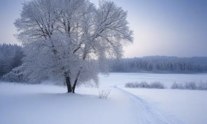 kostel svatého Václava (Hrbokov) – winter
