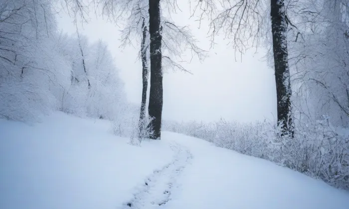 Kostel svatého Václava (Hulín) – winter