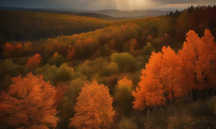 kostel svatého Václava (Jezbořice) – autumn