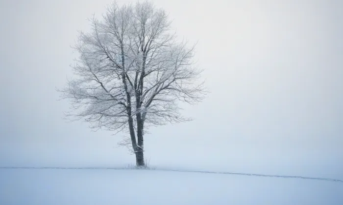 Kostel svatého Václava (Jindřichův Hradec III) – winter