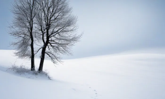 kostel svatého Václava (Lanškroun) – winter