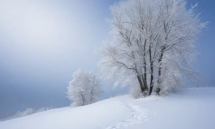 Kostel svatého Václava (Lipenec) – winter
