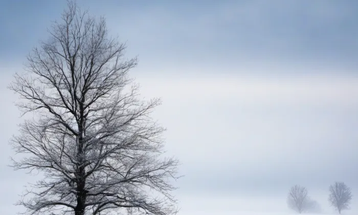 Kostel svatého Václava (Lomnice nad Lužnicí) – winter