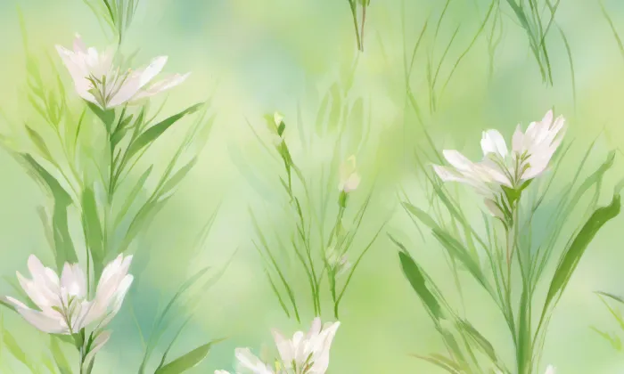 Kostel svatého Václava (Malá Bukovina) – spring