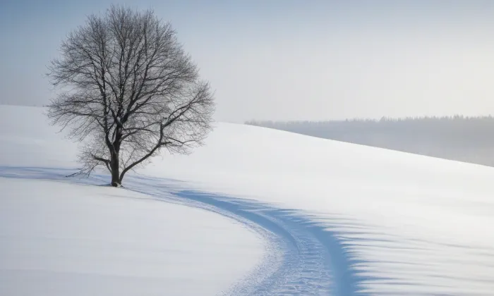 Kostel svatého Václava (Malá Bukovina) – winter