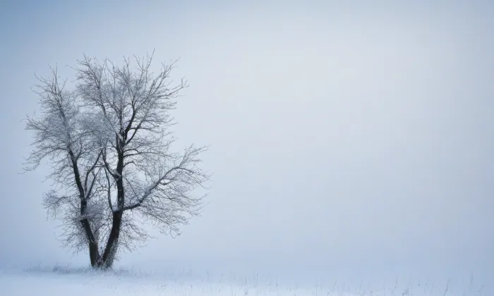 Kostel svatého Václava (Mníšek pod Brdy) – winter