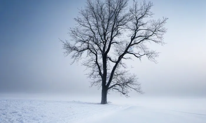 Kostel svatého Václava (Nahořečice) – winter