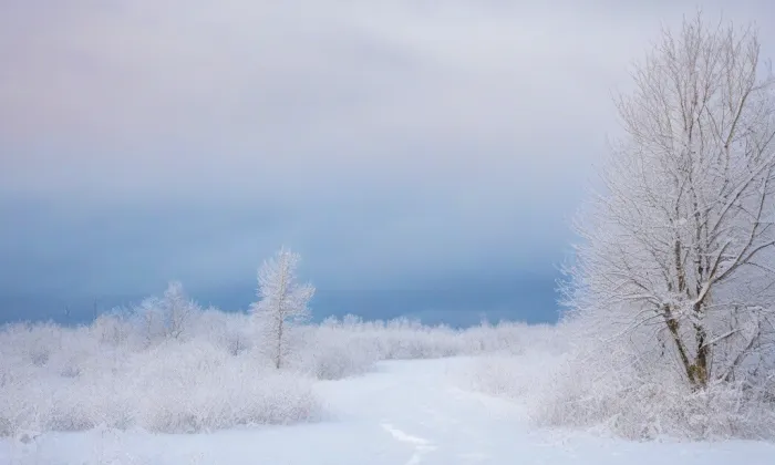 Kostel svatého Václava (Netolice) – winter