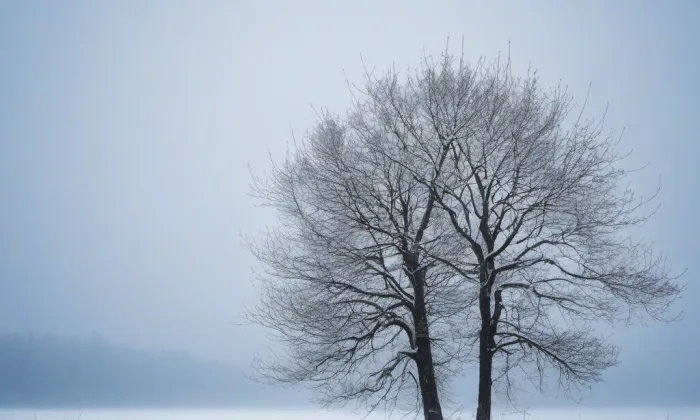Kostel svatého Václava (Nové Město) – winter