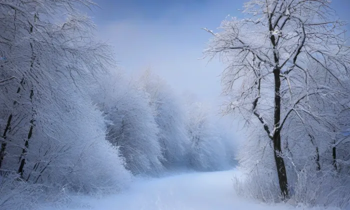 Kostel svatého Václava (Nové Sedlo) – winter
