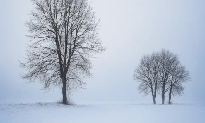 kostel svatého Václava (Ohnišťany) – winter