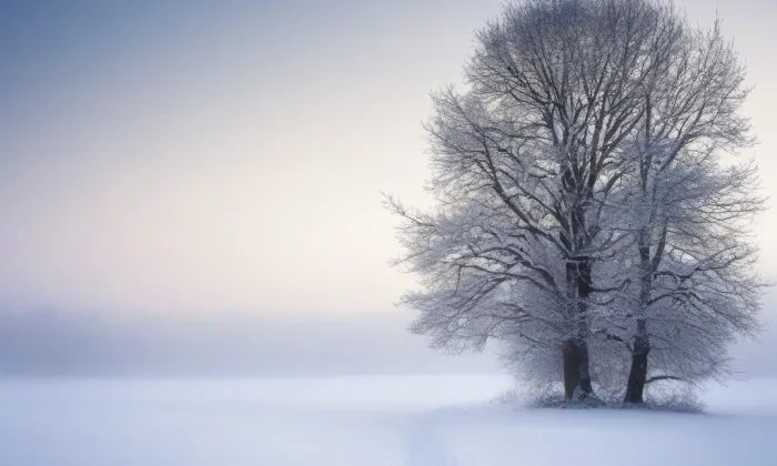 Kostel svatého Václava (Radíčeves) – winter