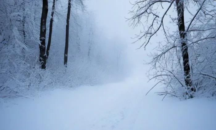 kostel svatého Václava (Rosice) – winter