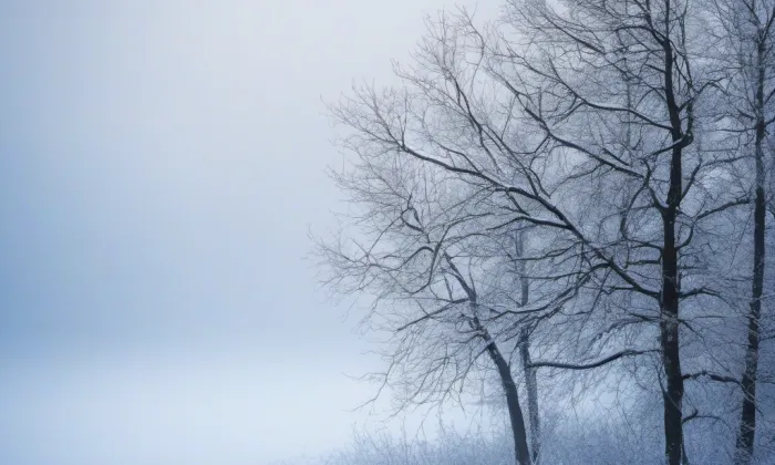 Kostel svatého Václava (Sazovice) – winter