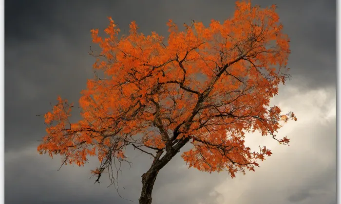 kostel svatého Václava (Staré Ždánice) – autumn