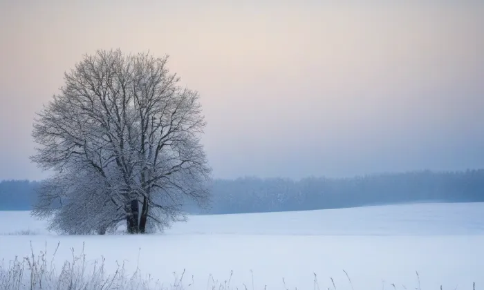 kostel svatého Václava (Světlá nad Sázavou) – winter