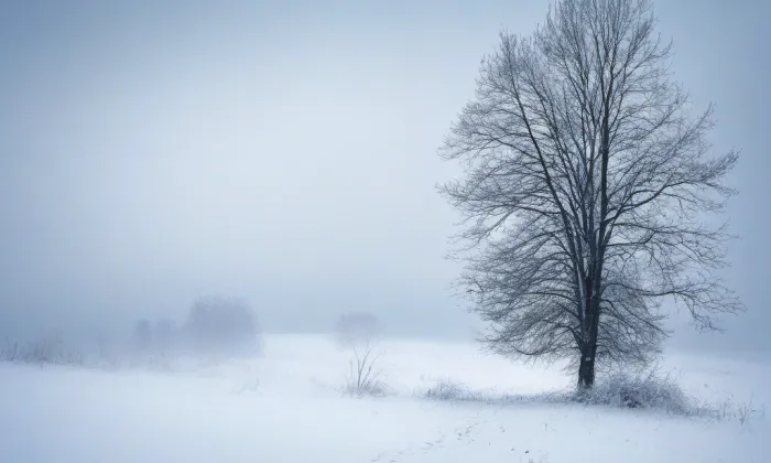Kostel svatého Václava a svaté Anežky České – winter