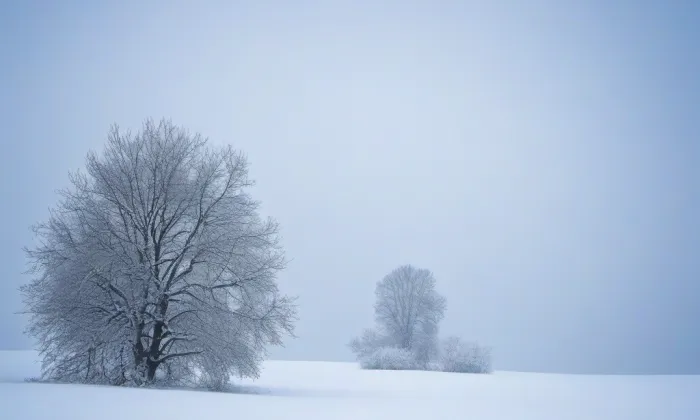 Kostel svatého Václava a svatého Víta a Panny Marie – winter