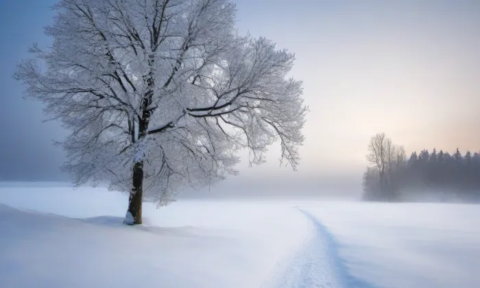 Kostel svatého Václava na Proseku – winter