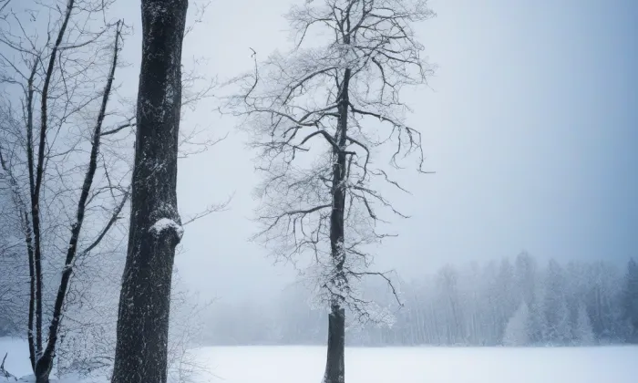 Kostel svatého Václava na Zderaze – winter