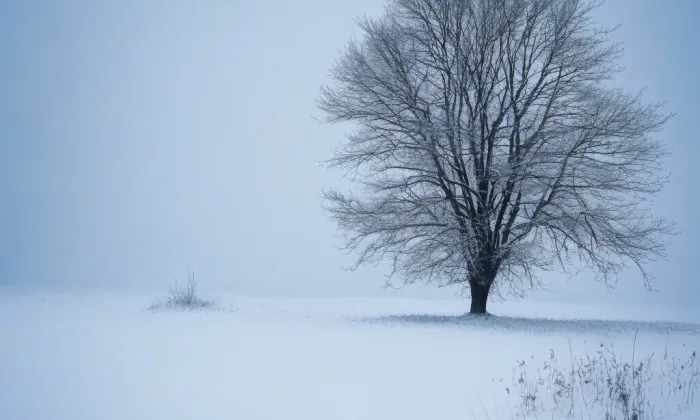 Kostel svatého Václava v Břeclavi – winter