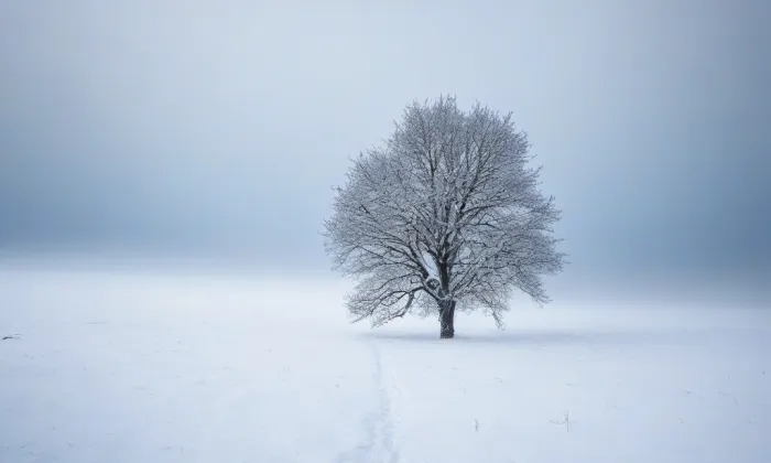 Kostel svatého Václava v Bělé pod Bezdězem – winter