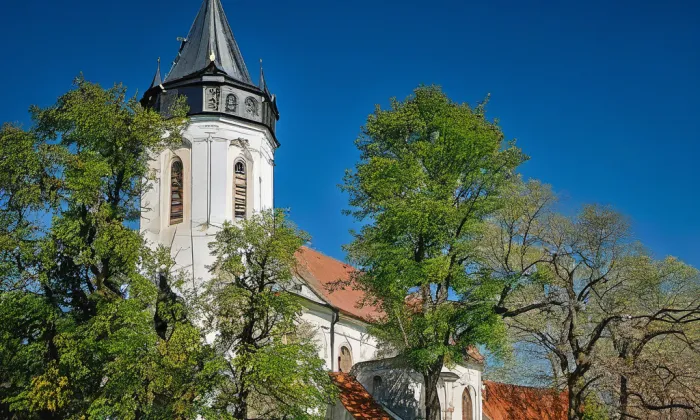 Kostel svatého Václava v Dolních Bojanovicích – historical