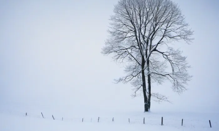 kostel svatého Václava v Roudnici nad Labem – winter