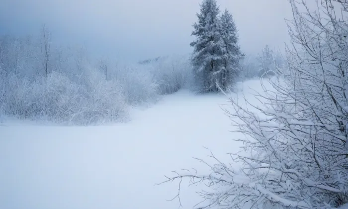 Kostel svatého Václava ve Vršovicích – winter