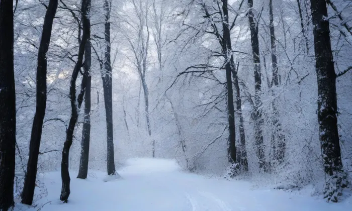 kostel svatého Víta (Dyjákovičky) – winter