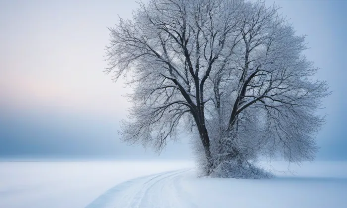 Kostel svatého Víta (Kvílice) – winter