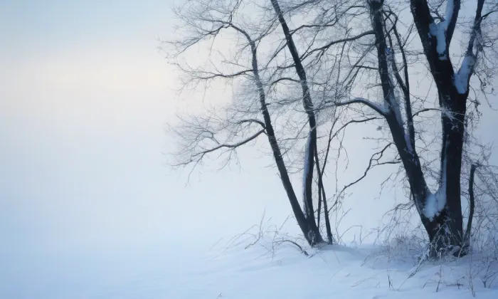 Kostel svatého Víta (Trstěnice) – winter