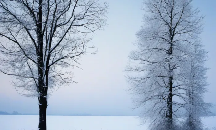 Kostel svatého Víta v Českém Krumlově – winter
