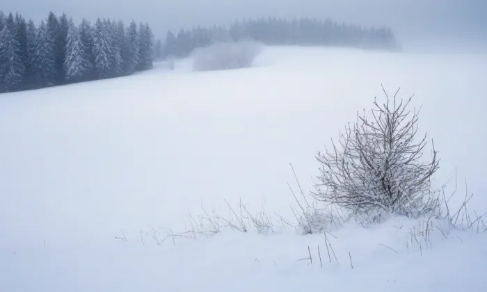 kostel svatého Víta v Kolíně – winter