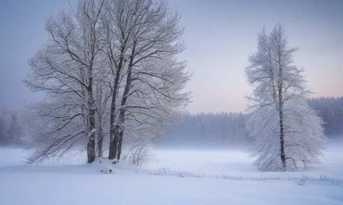 Kostel svatého Valentina (Novosedlice) – winter