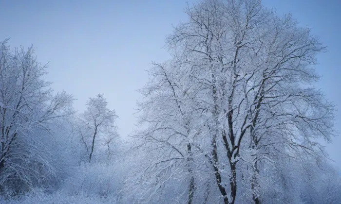 Kostel svatého Vavřince (Žebrák) – winter