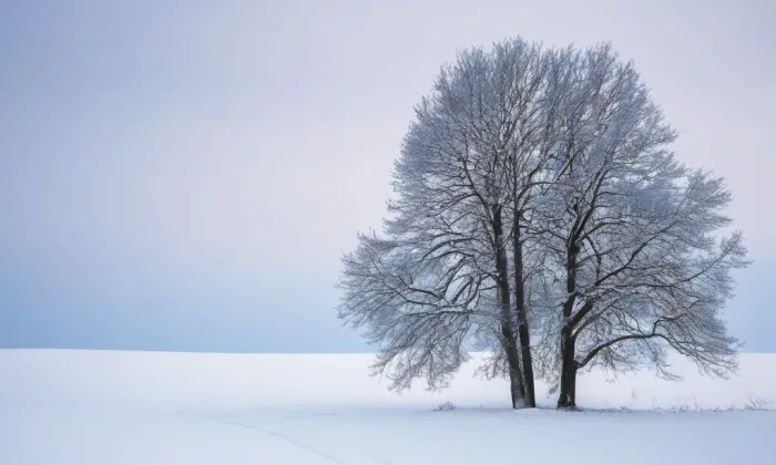 Kostel svatého Vavřince (Želina) – winter