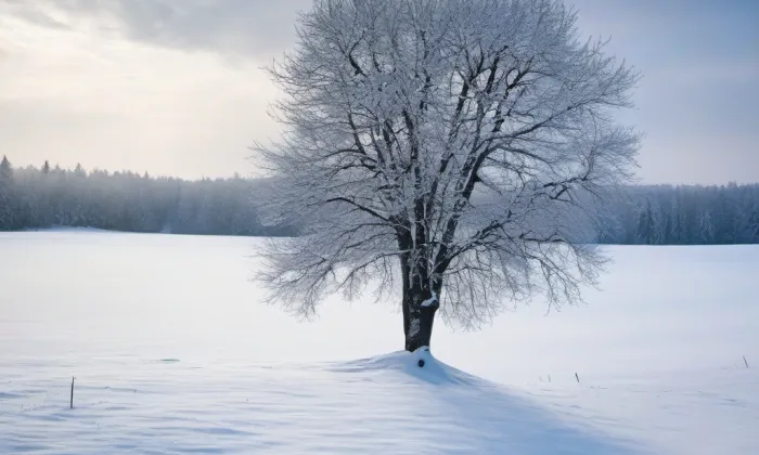 Kostel svatého Vavřince (Bohdalov) – winter
