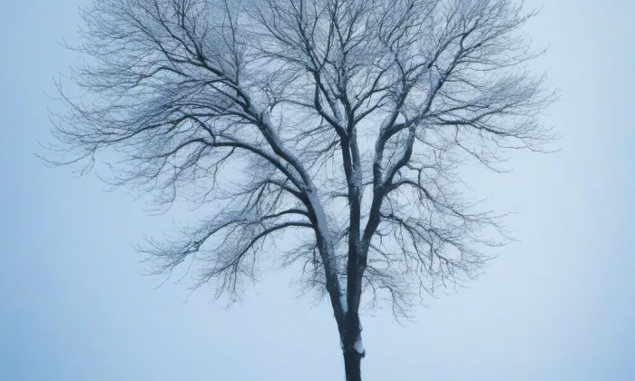 kostel svatého Vavřince (Chrastava I) – winter