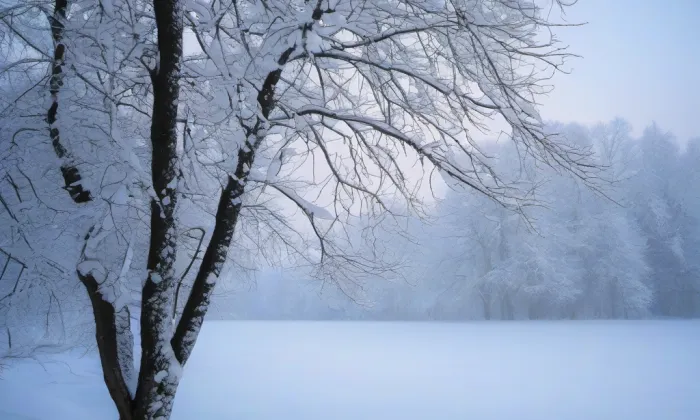 Kostel svatého Vavřince (Dačice I) – winter