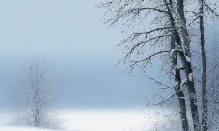 Kostel svatého Vavřince (Hořetice) – winter