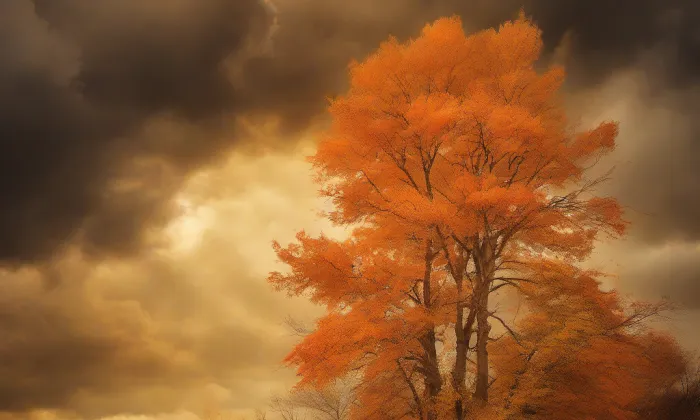 kostel svatého Vavřince (Horní Bojanovice) – autumn