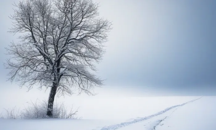kostel svatého Vavřince (Klobouky u Brna) – winter