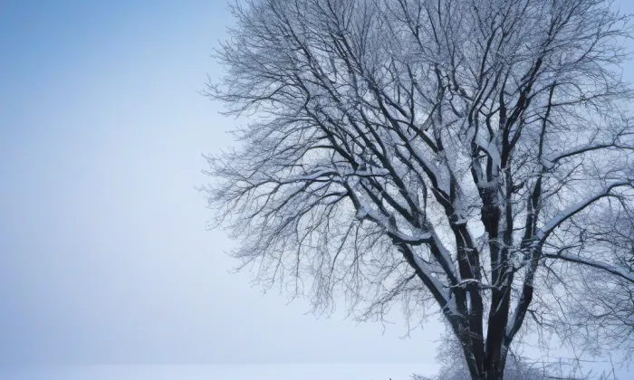 kostel svatého Vavřince (Krasonice) – winter