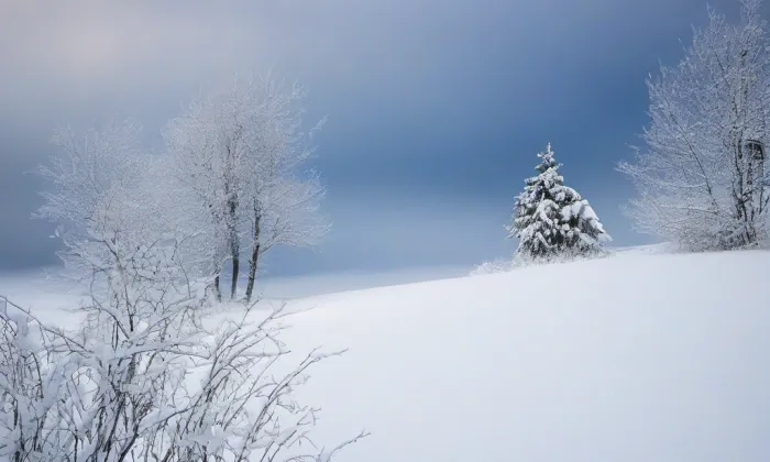 Kostel svatého Vavřince (Okounov) – winter
