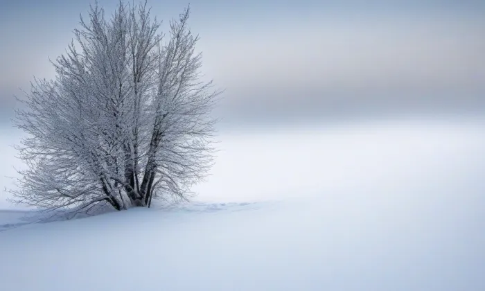 Kostel svatého Vavřince (Přerov I-Město) – winter
