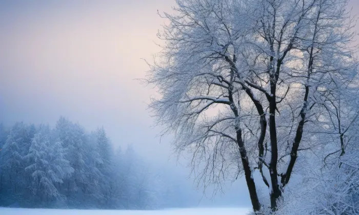 Kostel svatého Vavřince (Třebeň) – winter