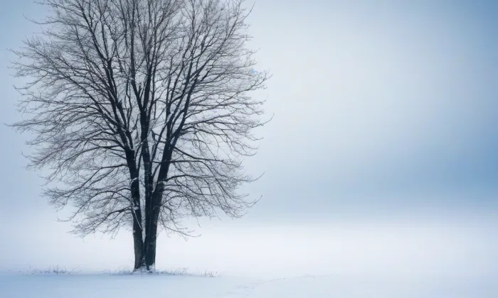 Kostel svatého Vavřince na Petříně – winter